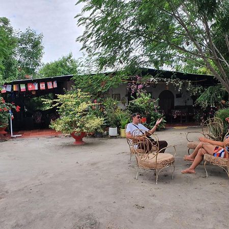 Alojamiento Casa De Campo Los Cactus Villavieja Exteriör bild