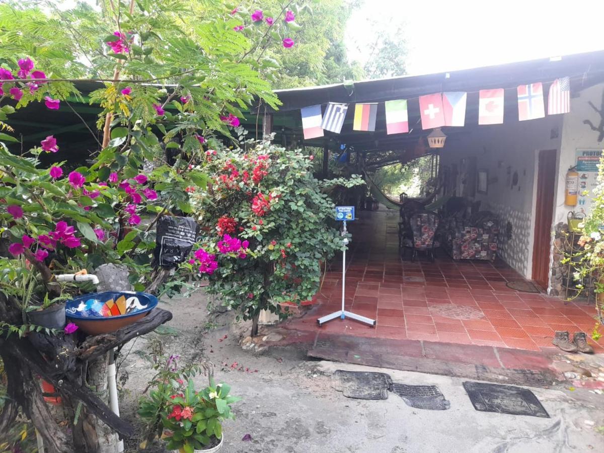 Alojamiento Casa De Campo Los Cactus Villavieja Exteriör bild