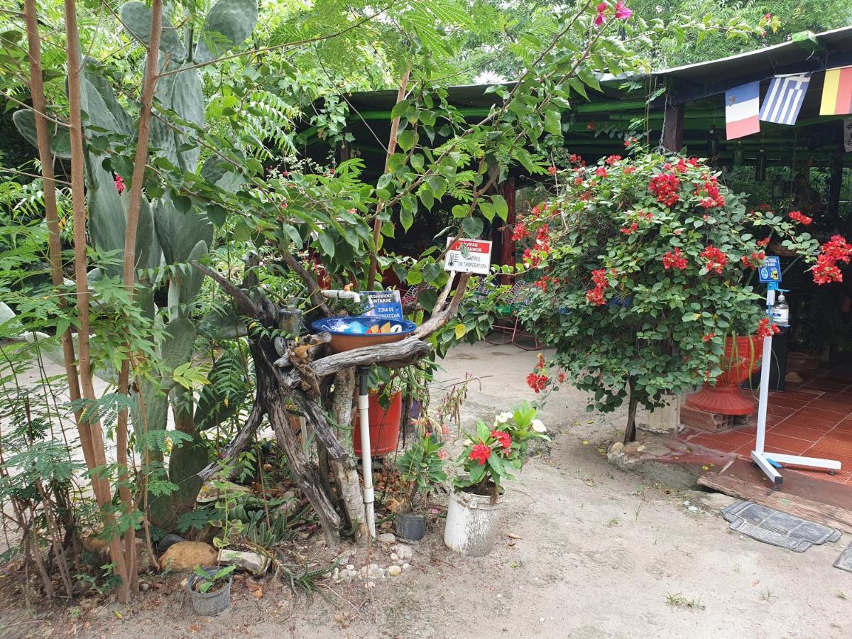 Alojamiento Casa De Campo Los Cactus Villavieja Exteriör bild