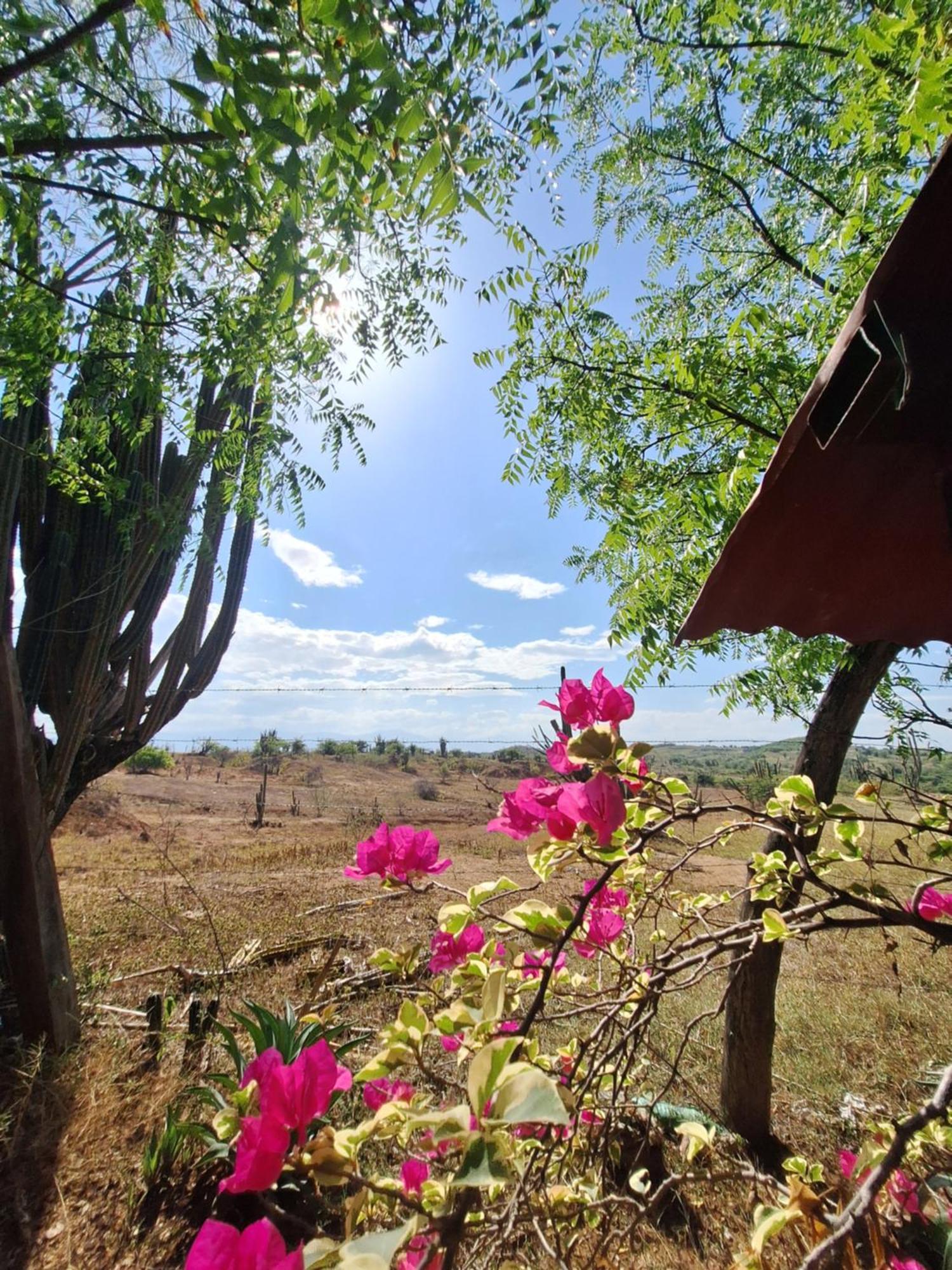 Alojamiento Casa De Campo Los Cactus Villavieja Exteriör bild
