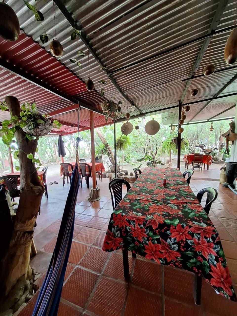 Alojamiento Casa De Campo Los Cactus Villavieja Exteriör bild