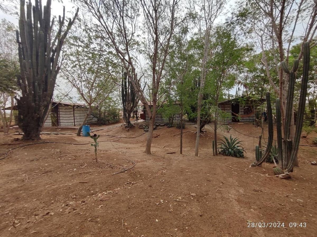 Alojamiento Casa De Campo Los Cactus Villavieja Exteriör bild