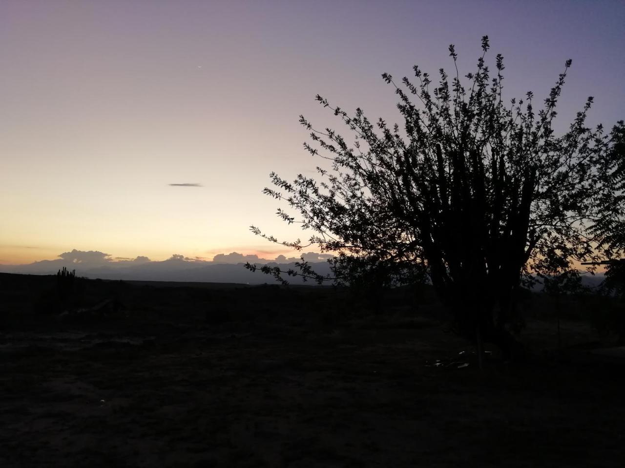 Alojamiento Casa De Campo Los Cactus Villavieja Exteriör bild