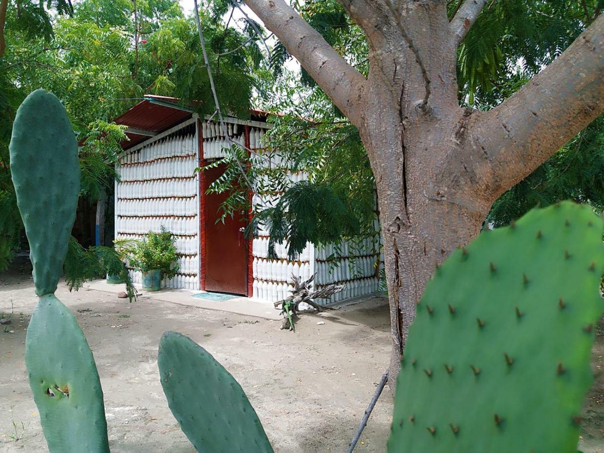 Alojamiento Casa De Campo Los Cactus Villavieja Exteriör bild