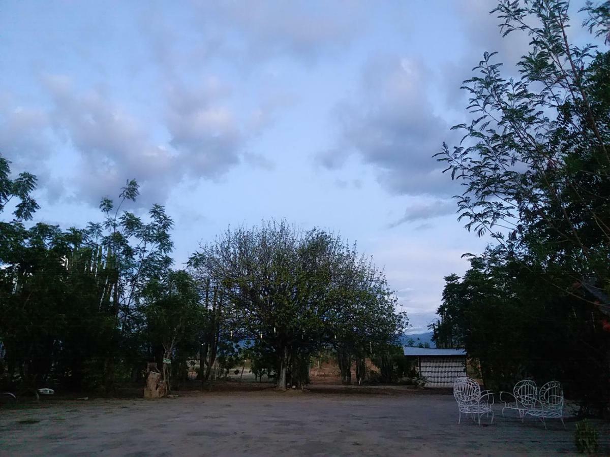Alojamiento Casa De Campo Los Cactus Villavieja Exteriör bild
