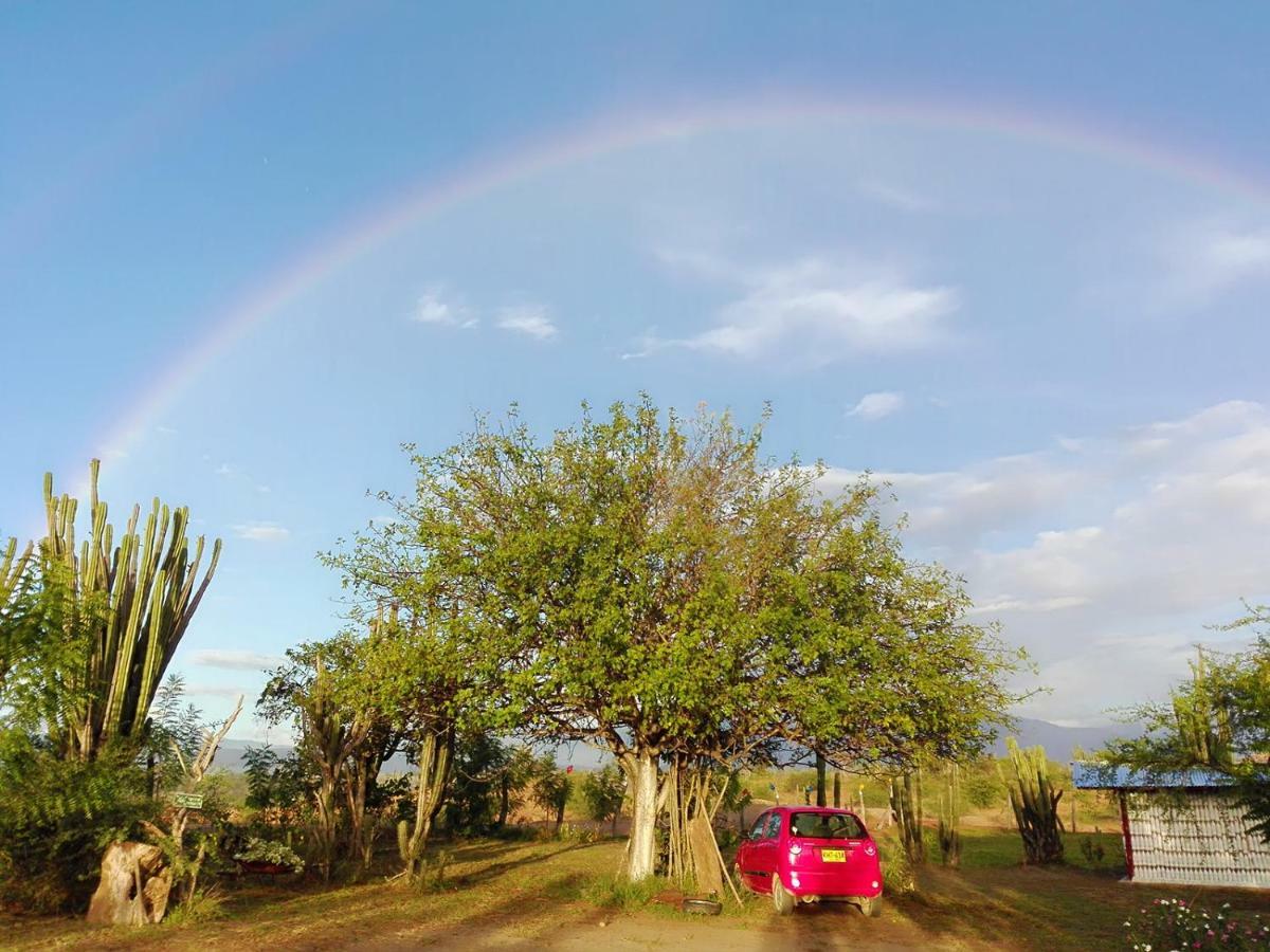 Alojamiento Casa De Campo Los Cactus Villavieja Exteriör bild